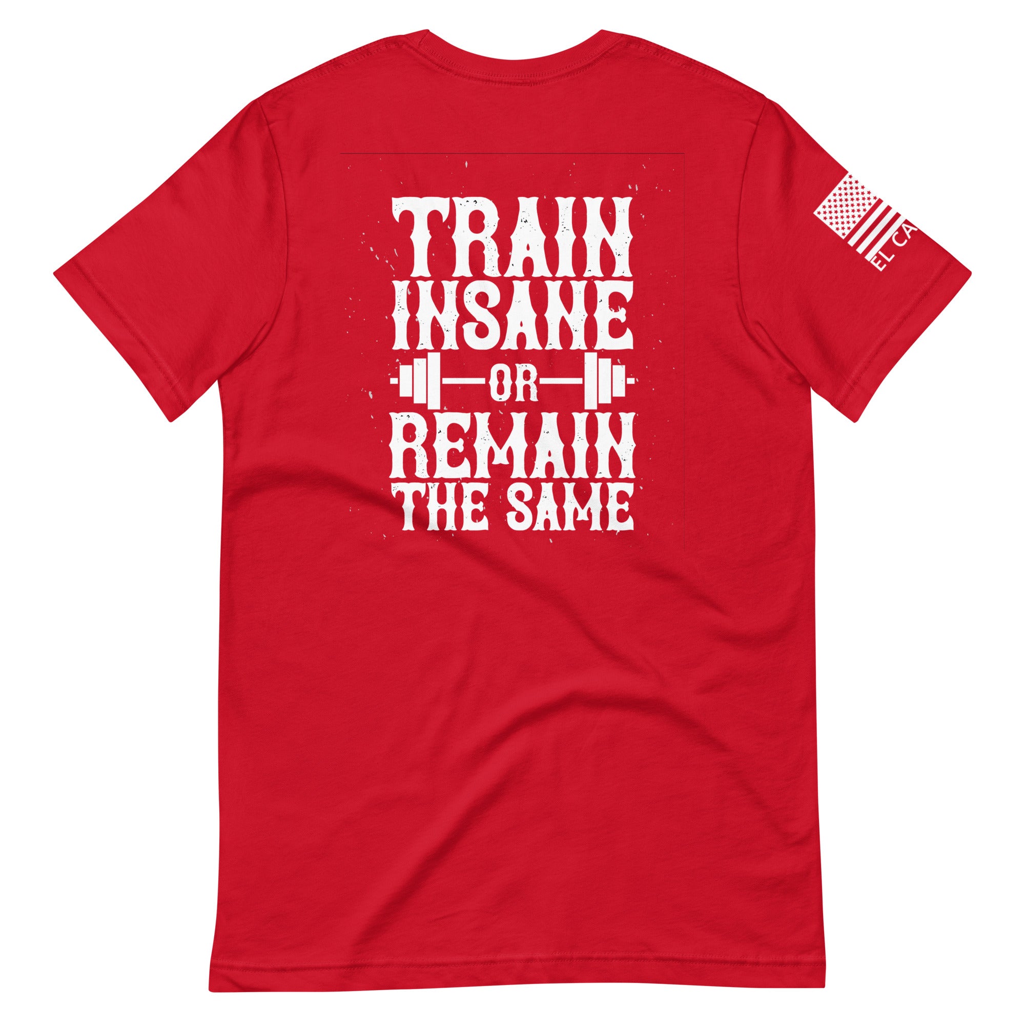 Men's Train Insane T-Shirt