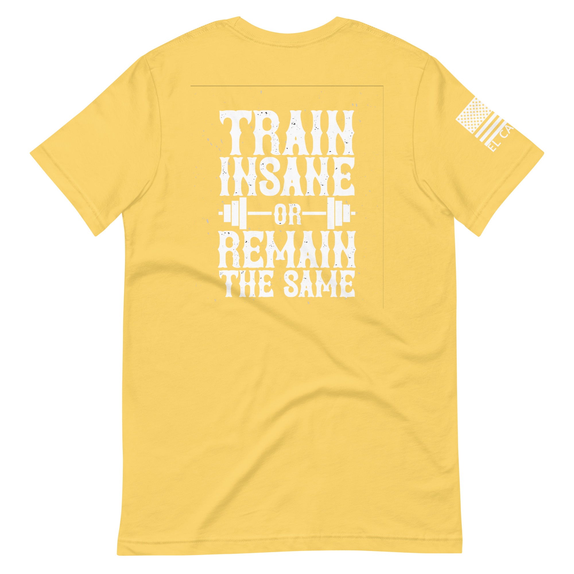 Men's Train Insane T-Shirt