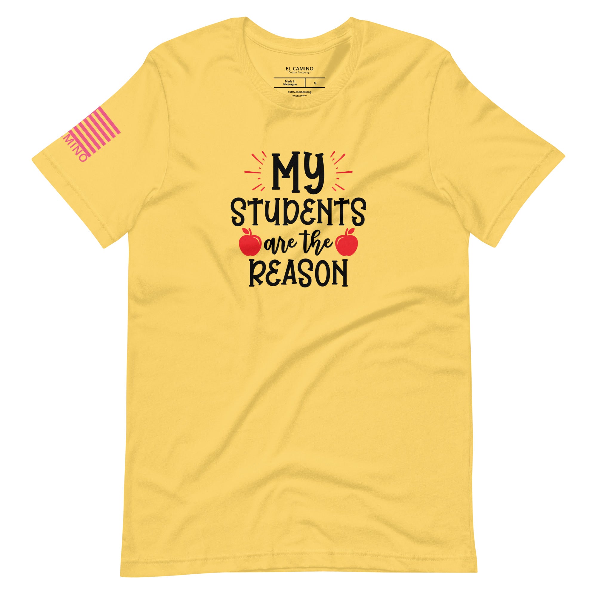 Women's My Students Reason T-Shirt